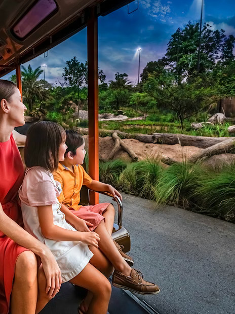 Combo (Save 5%): Night Safari + Gardens by the Bay/Universal Studios Singapore Tickets - Image 1